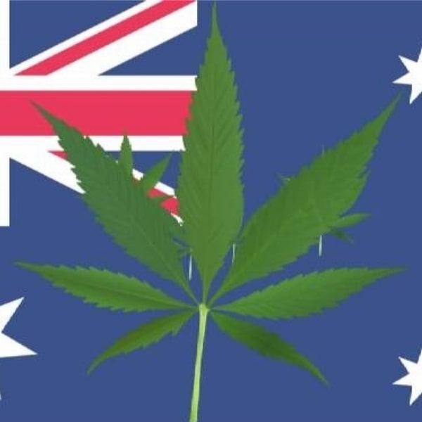 Australia's Cannabis Industry in 2019