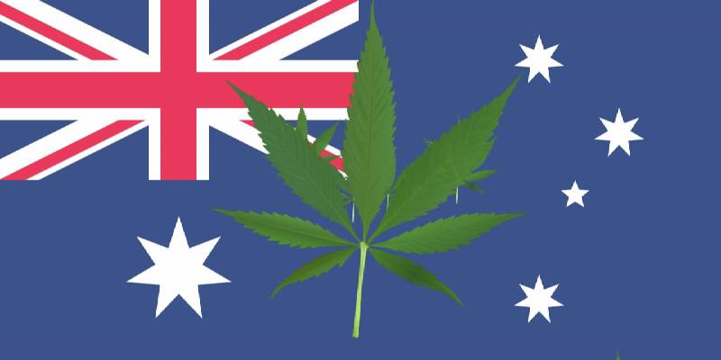 Australia's Cannabis Industry