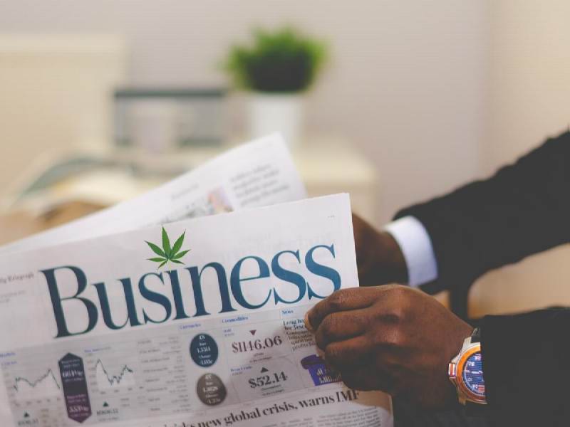 Australia's Cannabis Business Opportunities
