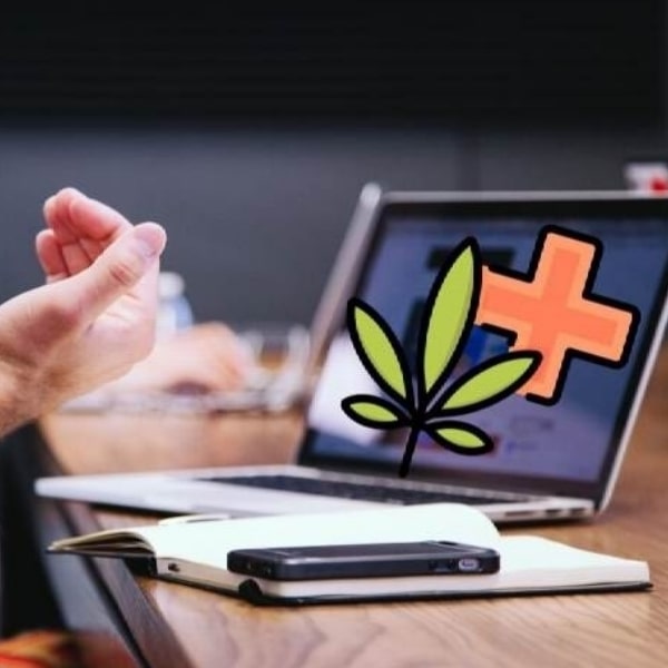 Cannabis Market and Business Guide 2020