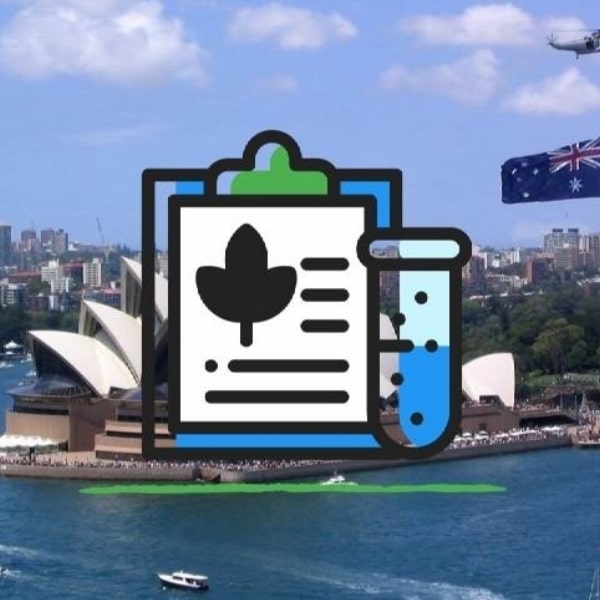 Australia's Trial of Recreational Cannabis