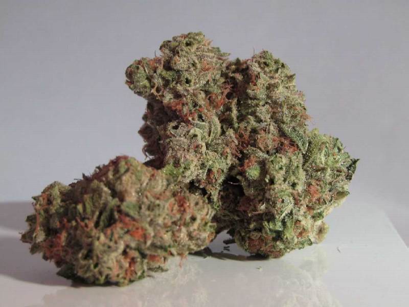Australia's Legal Medical Cannabis