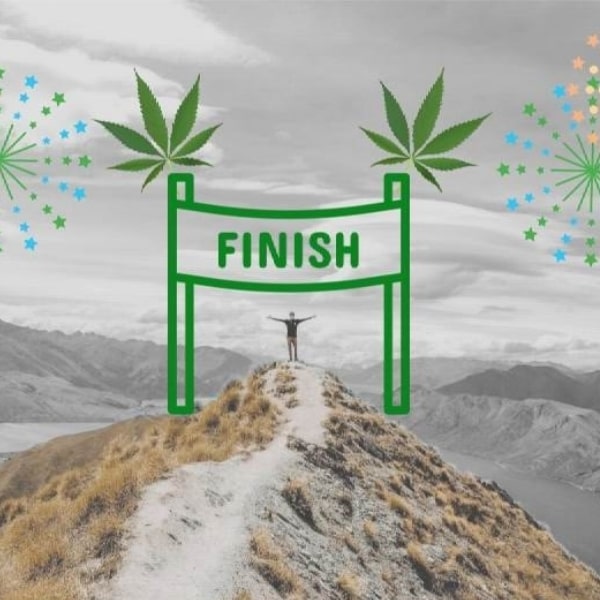 Will New Zealand Legalise Marijuana Before Australia?