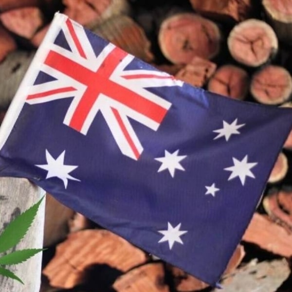 Why Marijuana Should Be Legal