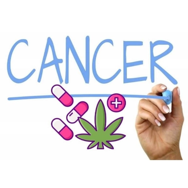 Cannabis Treatment Of Cancer In Australia