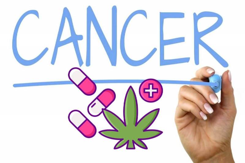 Cannabis Treatment Of Cancer In Australia