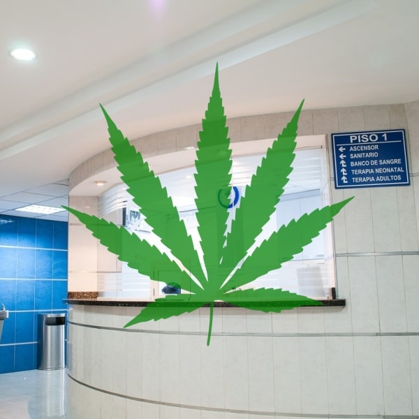 Cannabis Medical Clinics In Australia