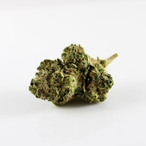 The Most Popular Cannabis Articles