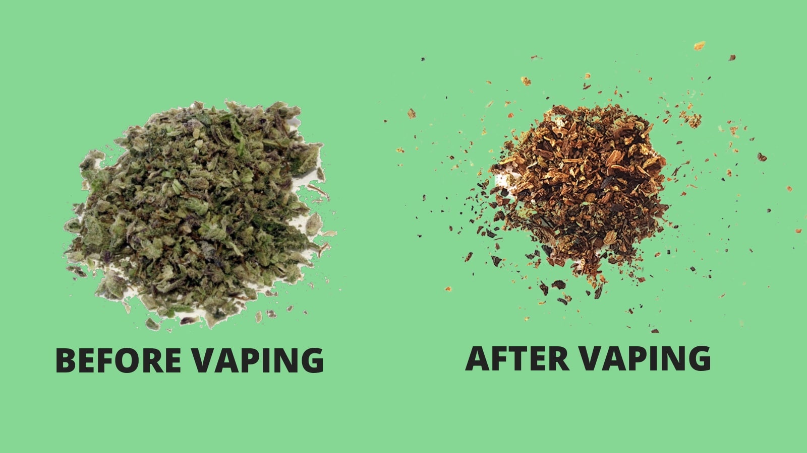 Already Vaped Bud (AVB) Guide