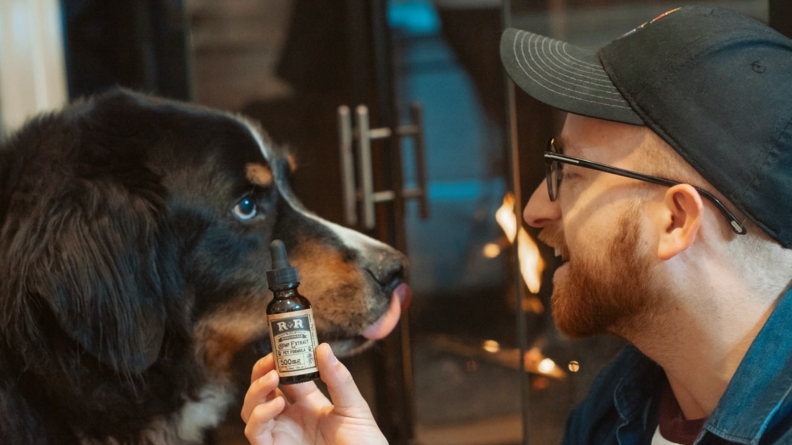 Can My Dog Overdose On CBD Oil?