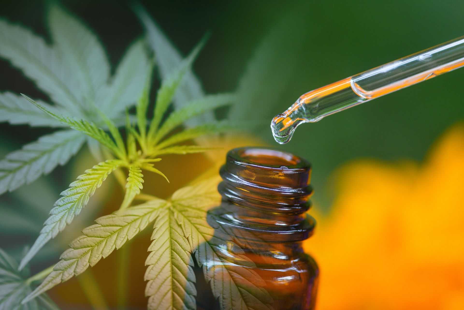 Cannabis oil (CBD & THC) for pets