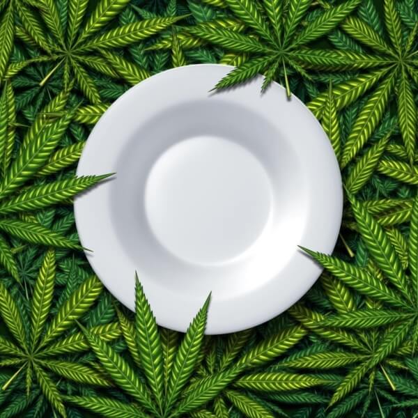 Edibles Weed: Beginner's Guide On How To Get High