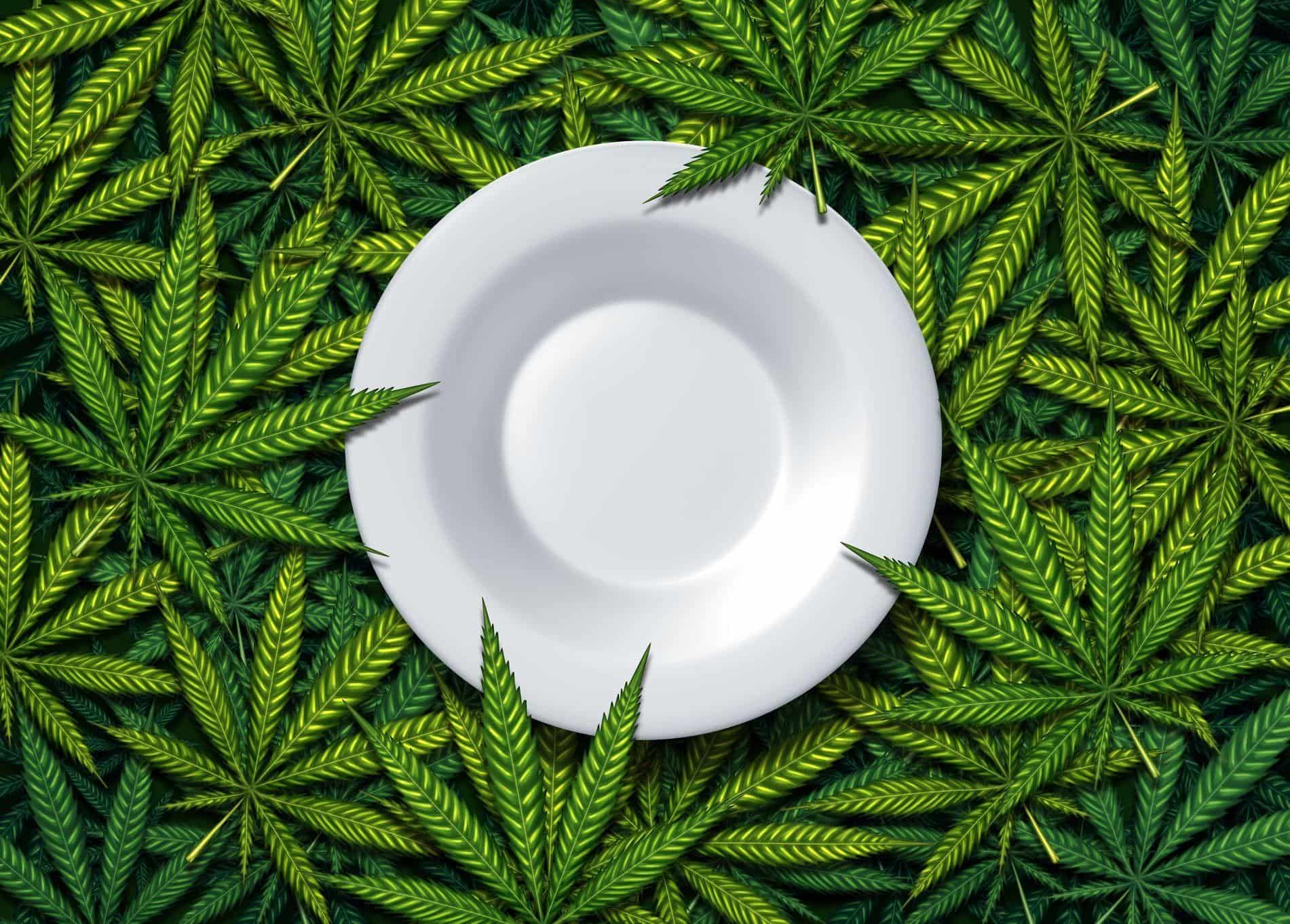 Edibles Weed: Beginner's Guide On How To Get High