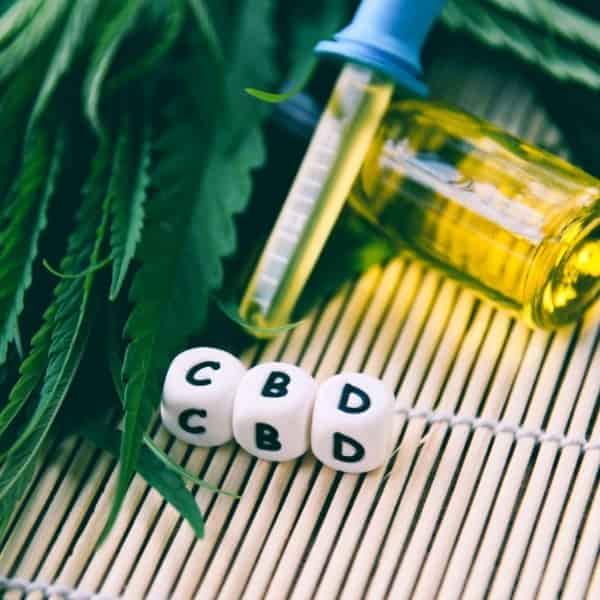 Cannabis Species: The Best Strains For Medical Treatment