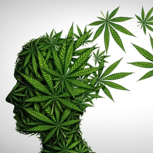 Learn About CBD in Australia