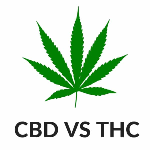 CBD vs. THC: Get The Facts About The Difference