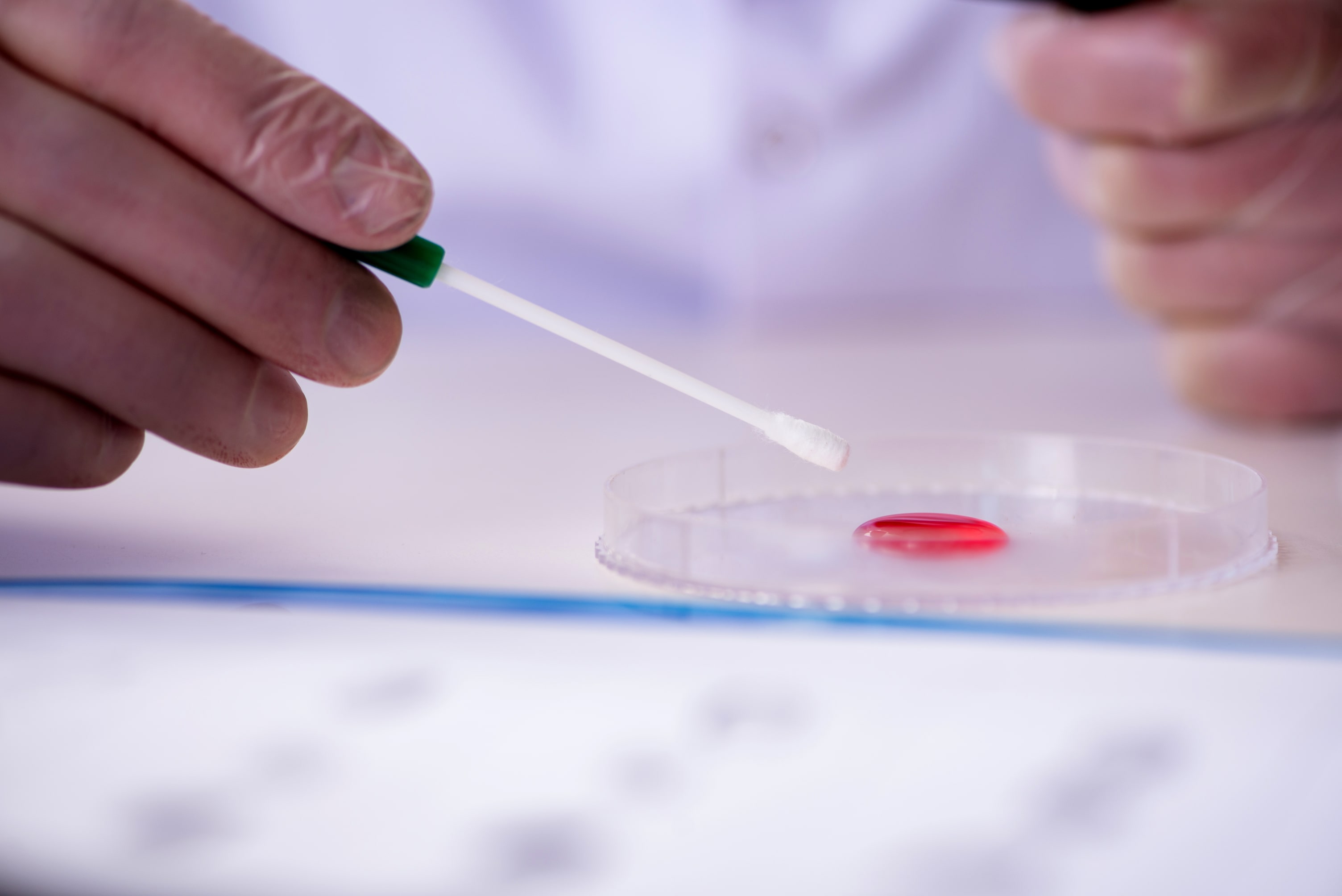 CBD and THC Drug Test