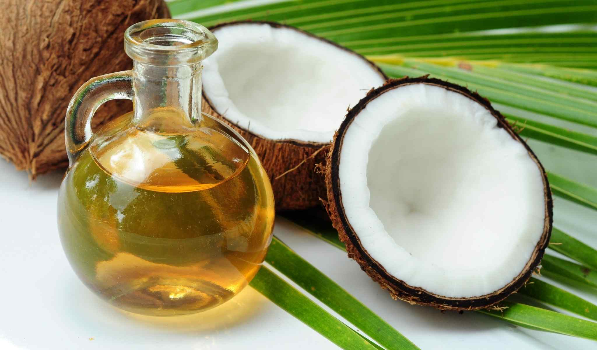 CBD Carrier Oils: Hemp Seed, Coconut, and Olive Oil