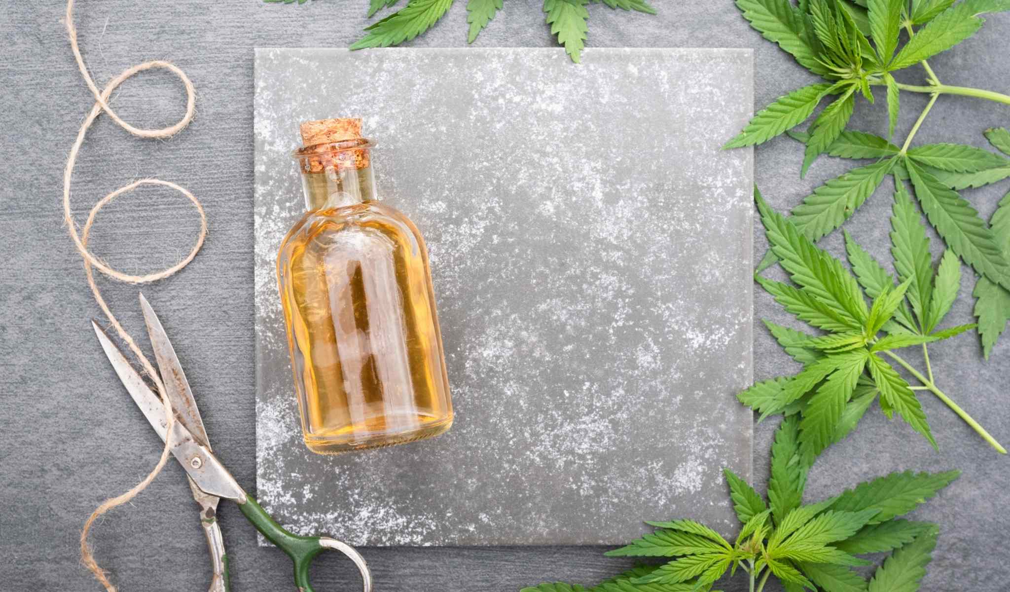 CBD Oil and Breastfeeding: Is It Safe For Breast Milk?