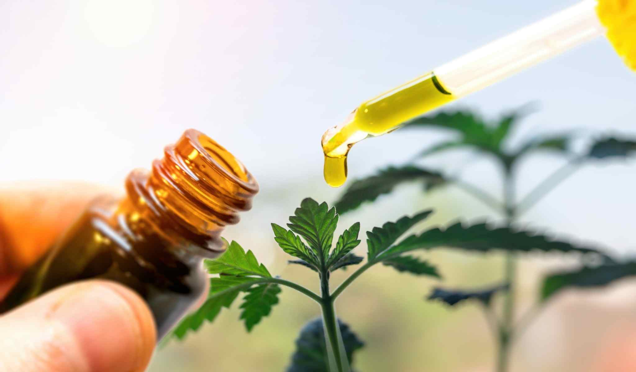 Can CBD Oil Cause Constipation? The Truth About This Rare Side Effect