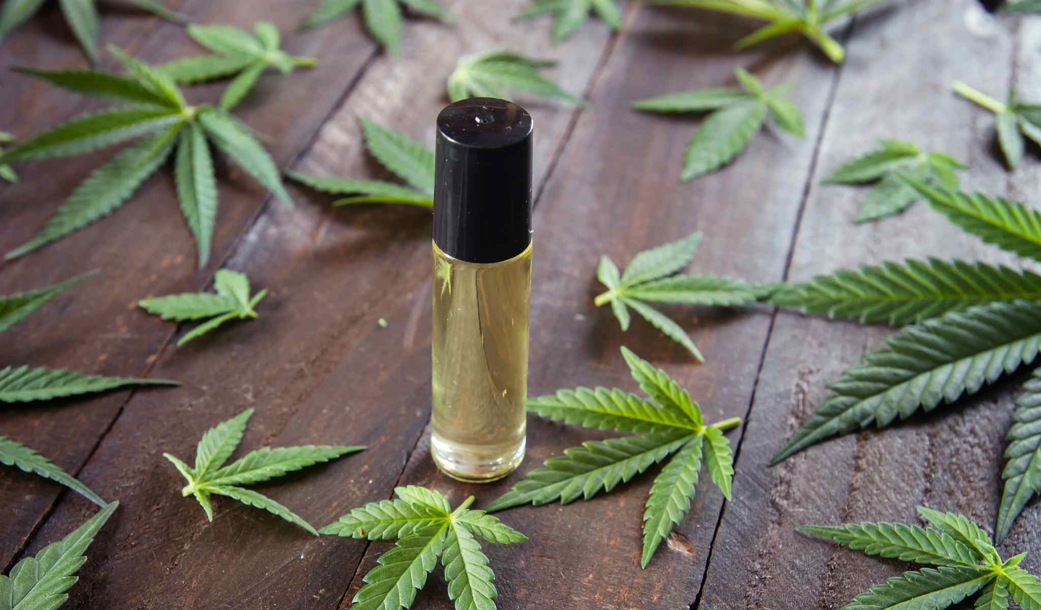 Can CBD Oil Help Dementia Patients? Is CBD Safe or a Risk?