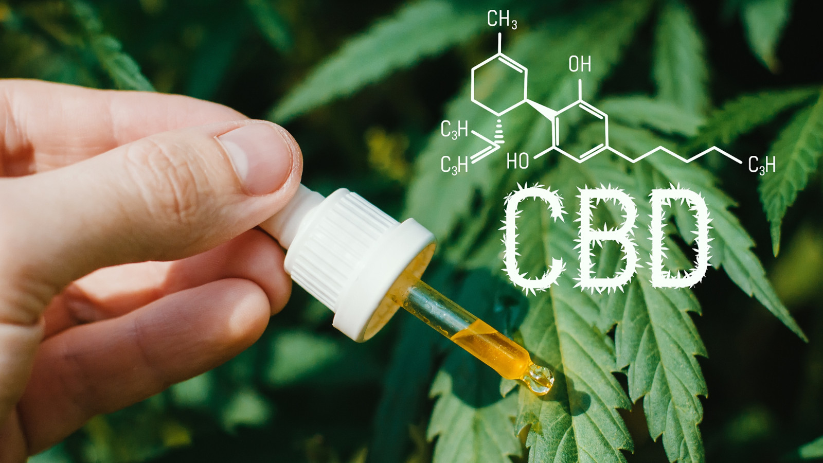 Does CBD Oil Make You Feel High Or Intoxicated?