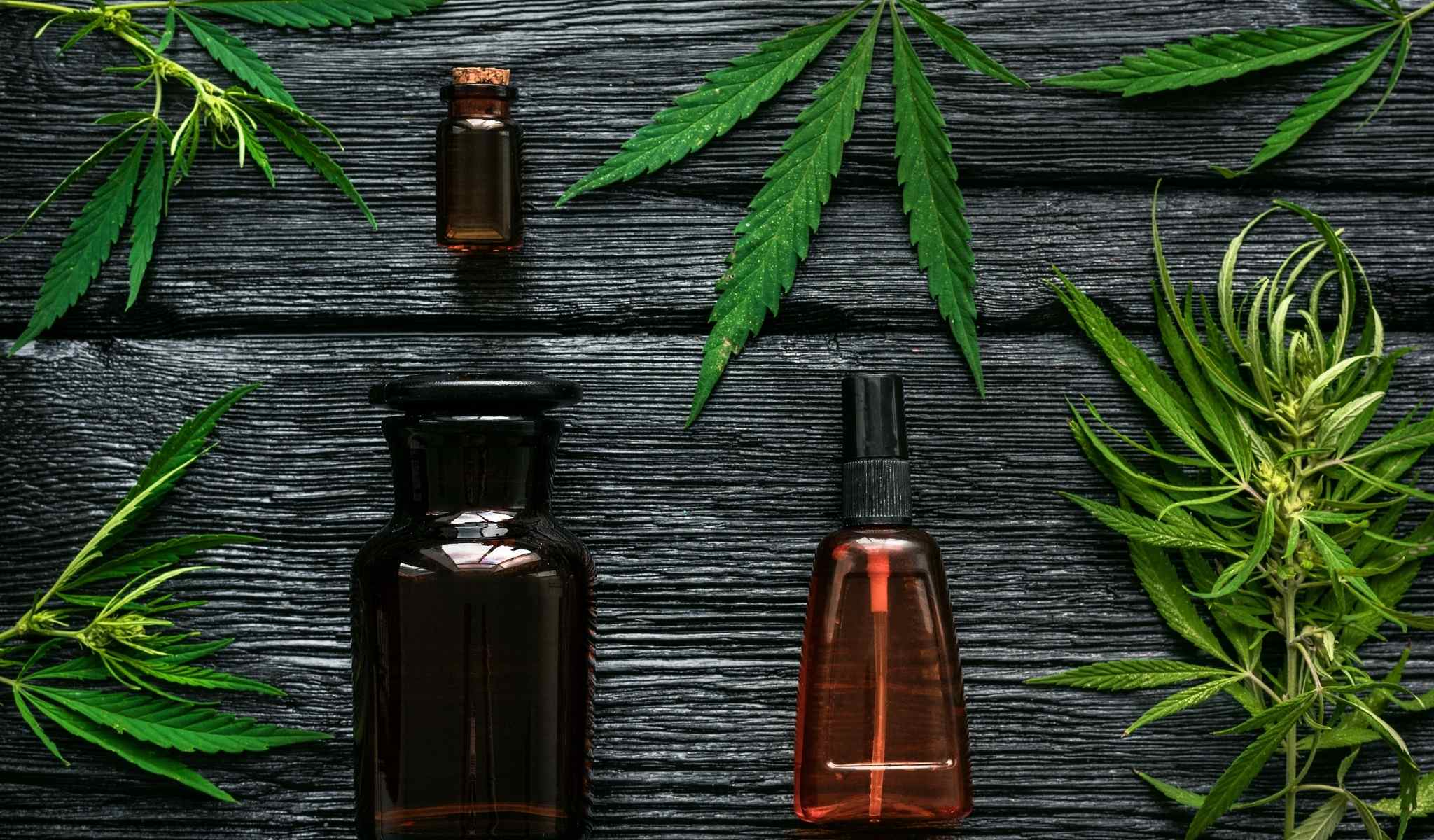 Where Should I Store CBD Oil? Storing Your CBD Oil for Maximum Shelf Life