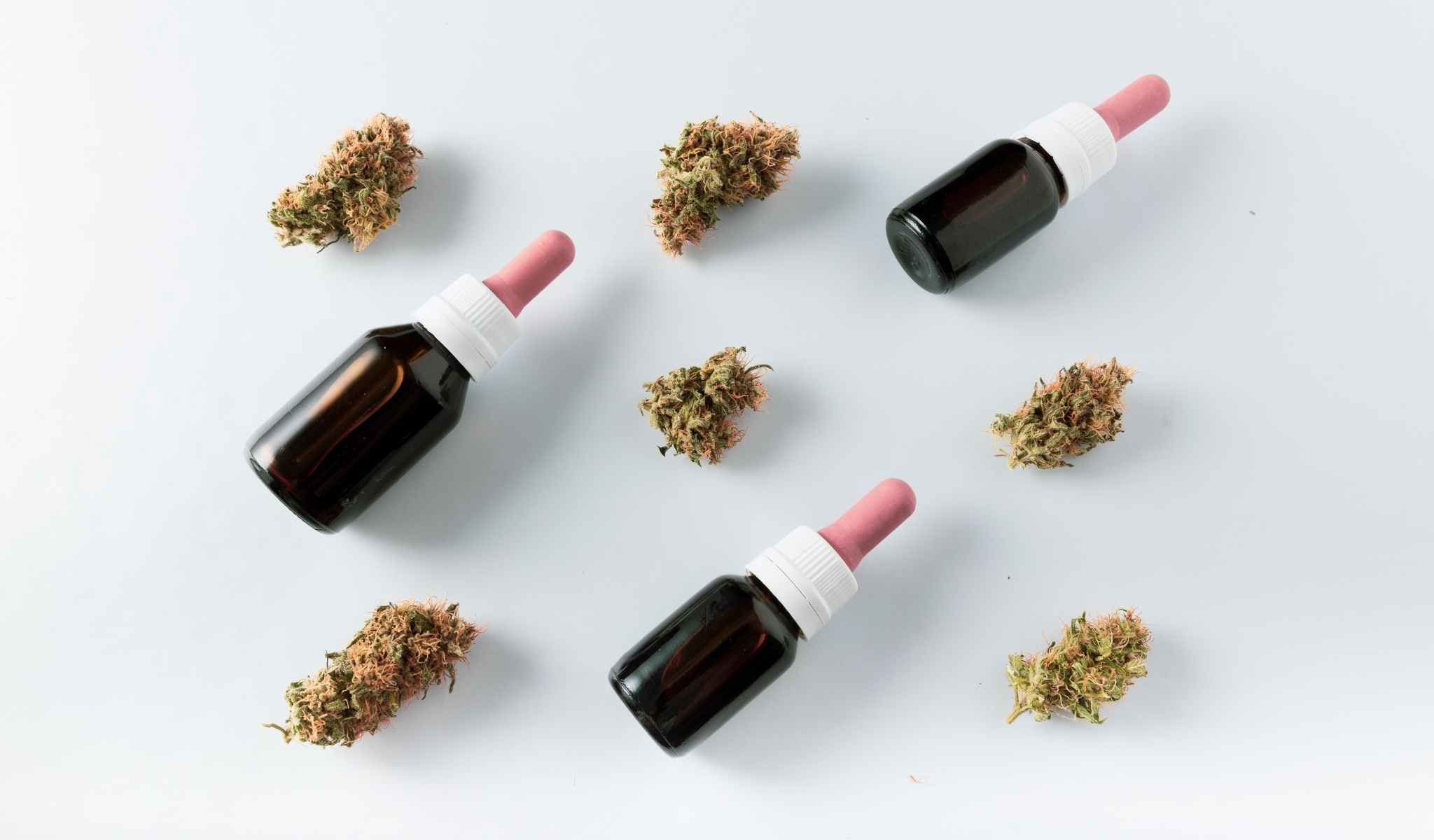 CBD Oil Vs. Smoking CBD Flower: Which One Is Better?