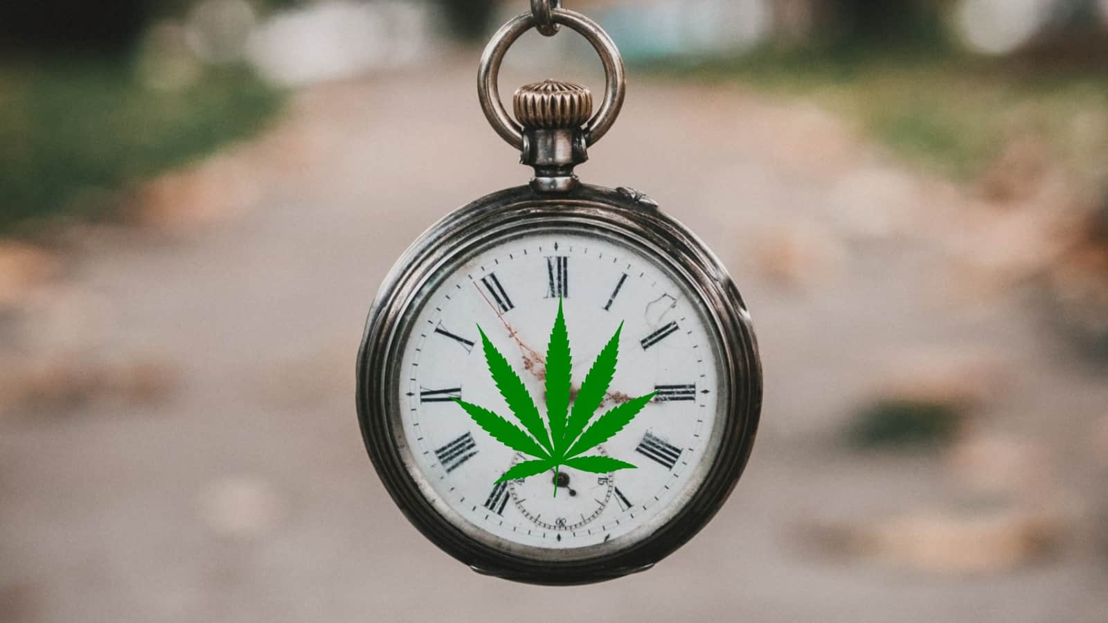 How Long Does It Take CBD Oil To Work?