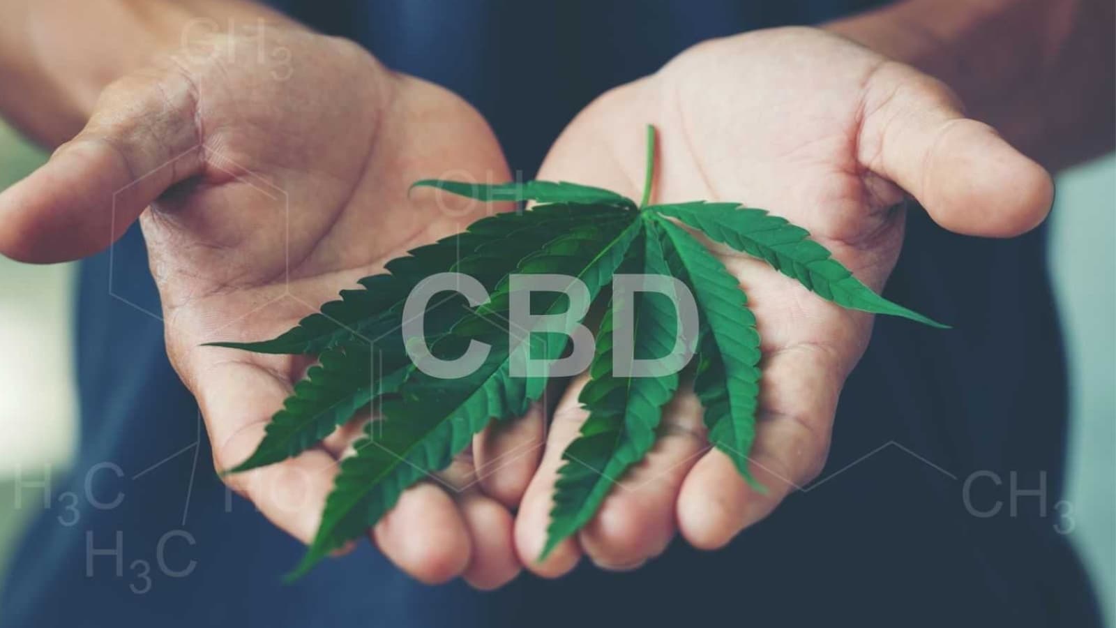 Buying CBD Oil: Guide, Process & Misconceptions
