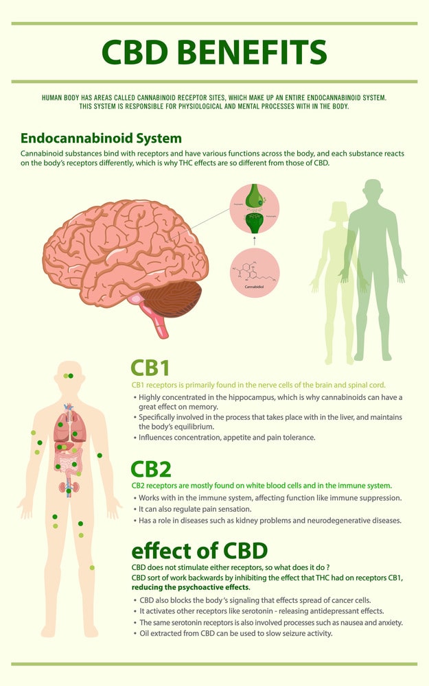 Benefits and Effects of CBD