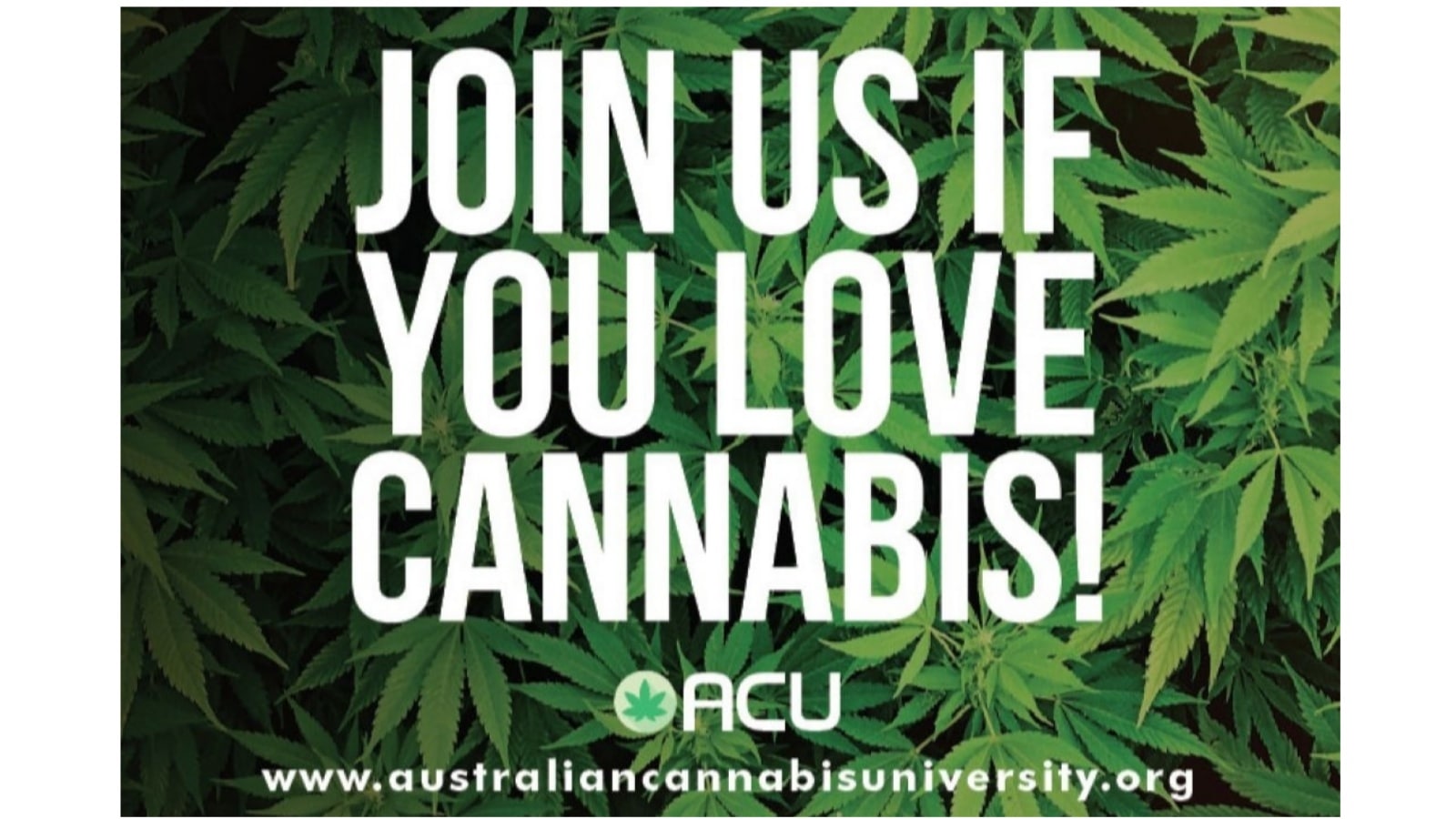 Australian Cannabis University Banner
