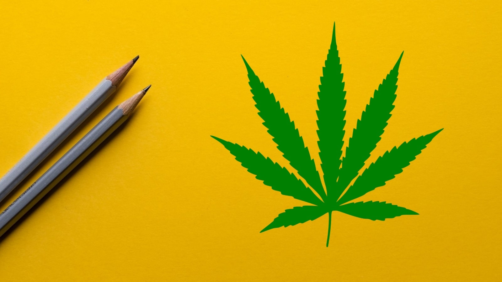 Australia's Medical Cannabis Courses Guide
