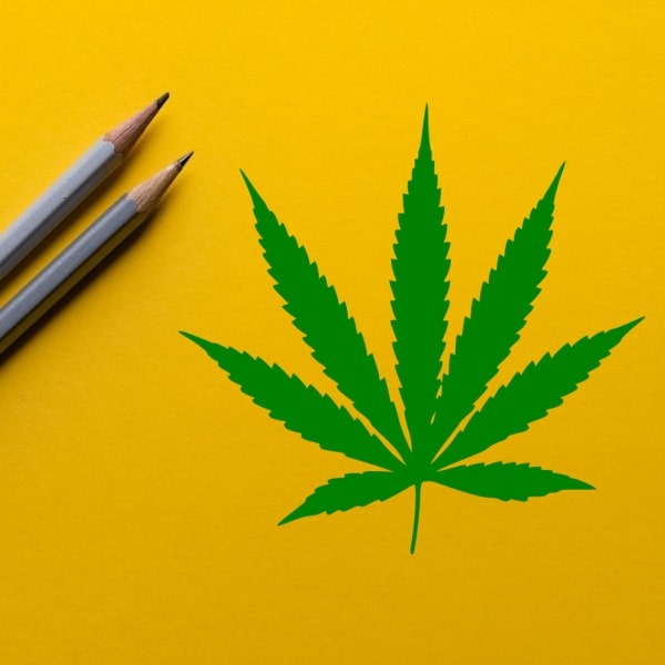 Australia's Medical Cannabis Courses Guide