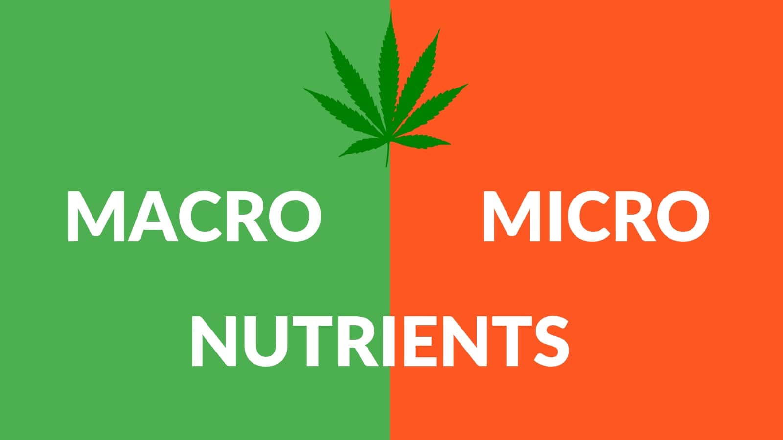 Cannabis Cultivation Macro VS Micro Nutrients
