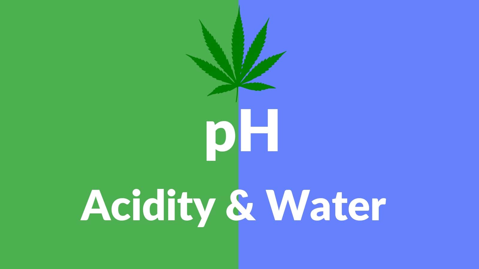 Cannabis Cultivation: Why pH Matters When Growing Marijuana?