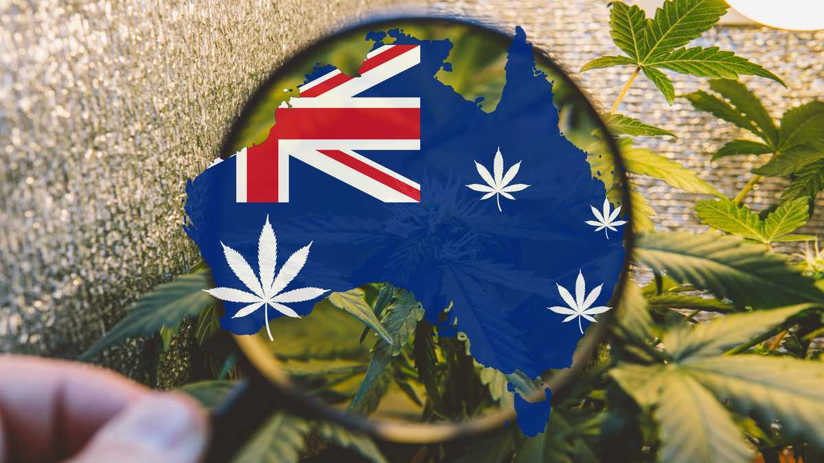 The support for marijuana legalisation in Australia more than doubles over the last six years