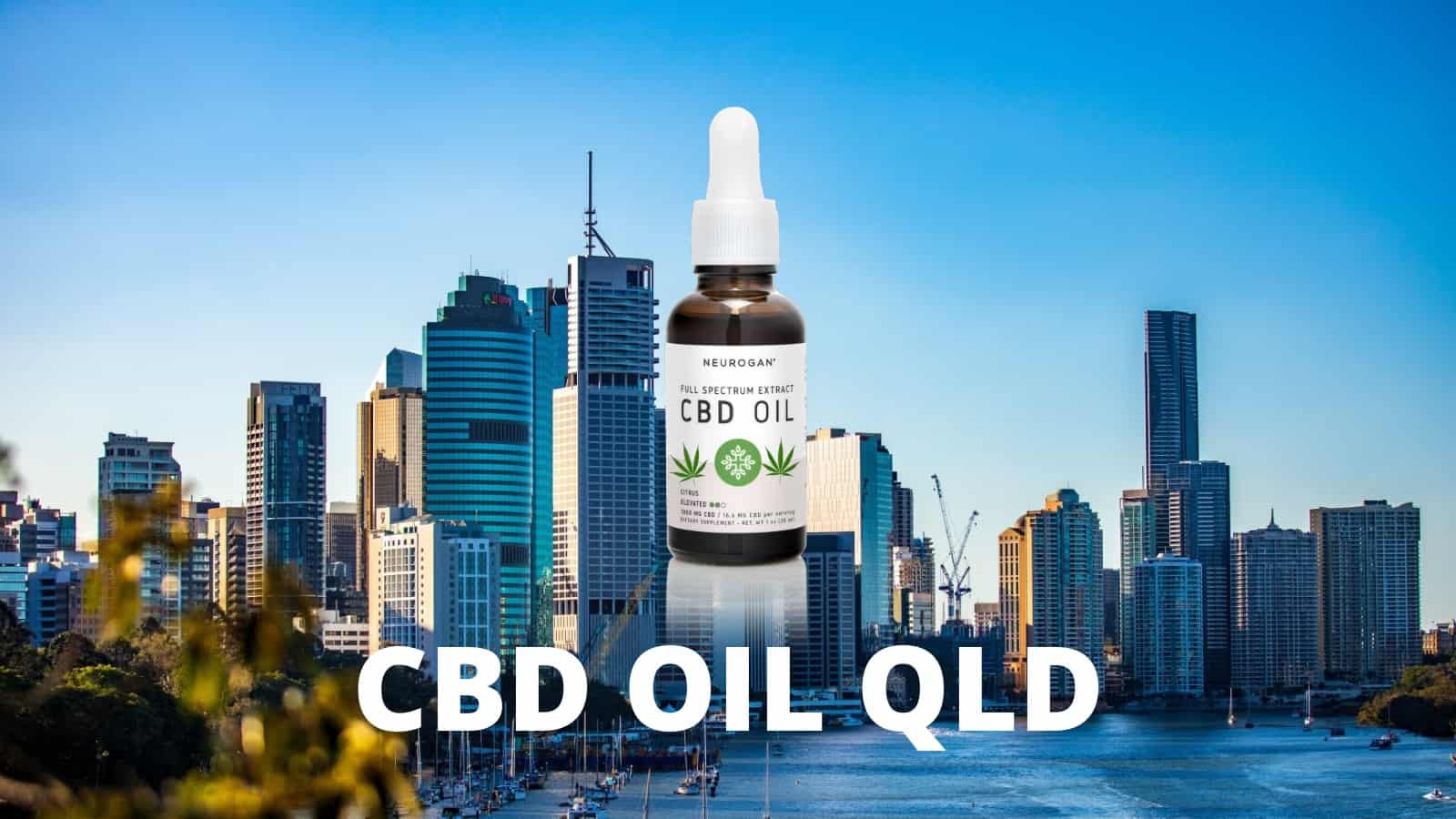 Is CBD Oil Legal in Brisbane and the Gold Coast, QLD?