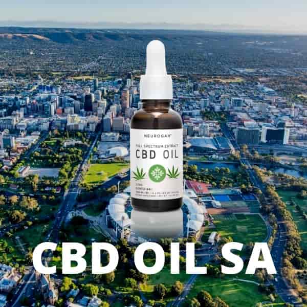 Is CBD Oil Legal in SA?