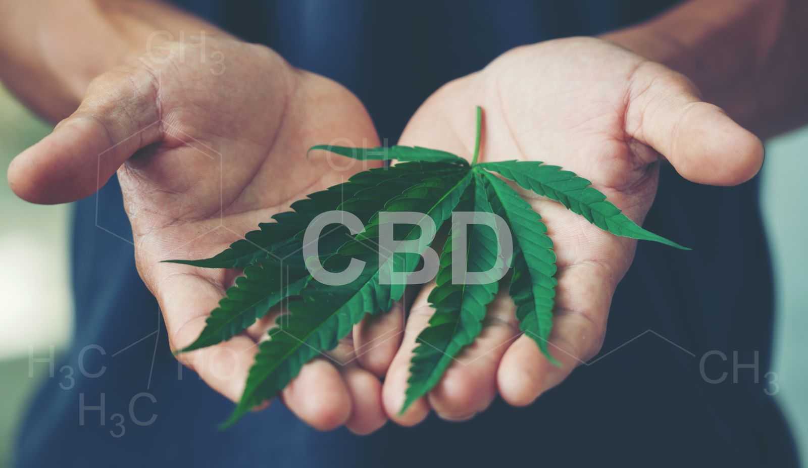 How CBD helps treat anxiety disorders.