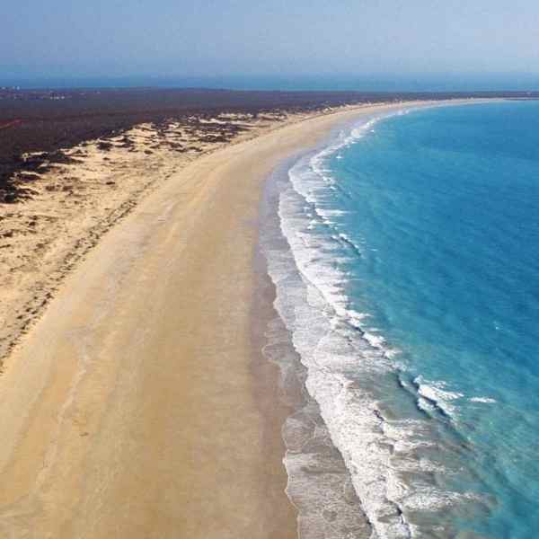 Cannabis Seeds Classified As Full Grown Plant in Western Australia