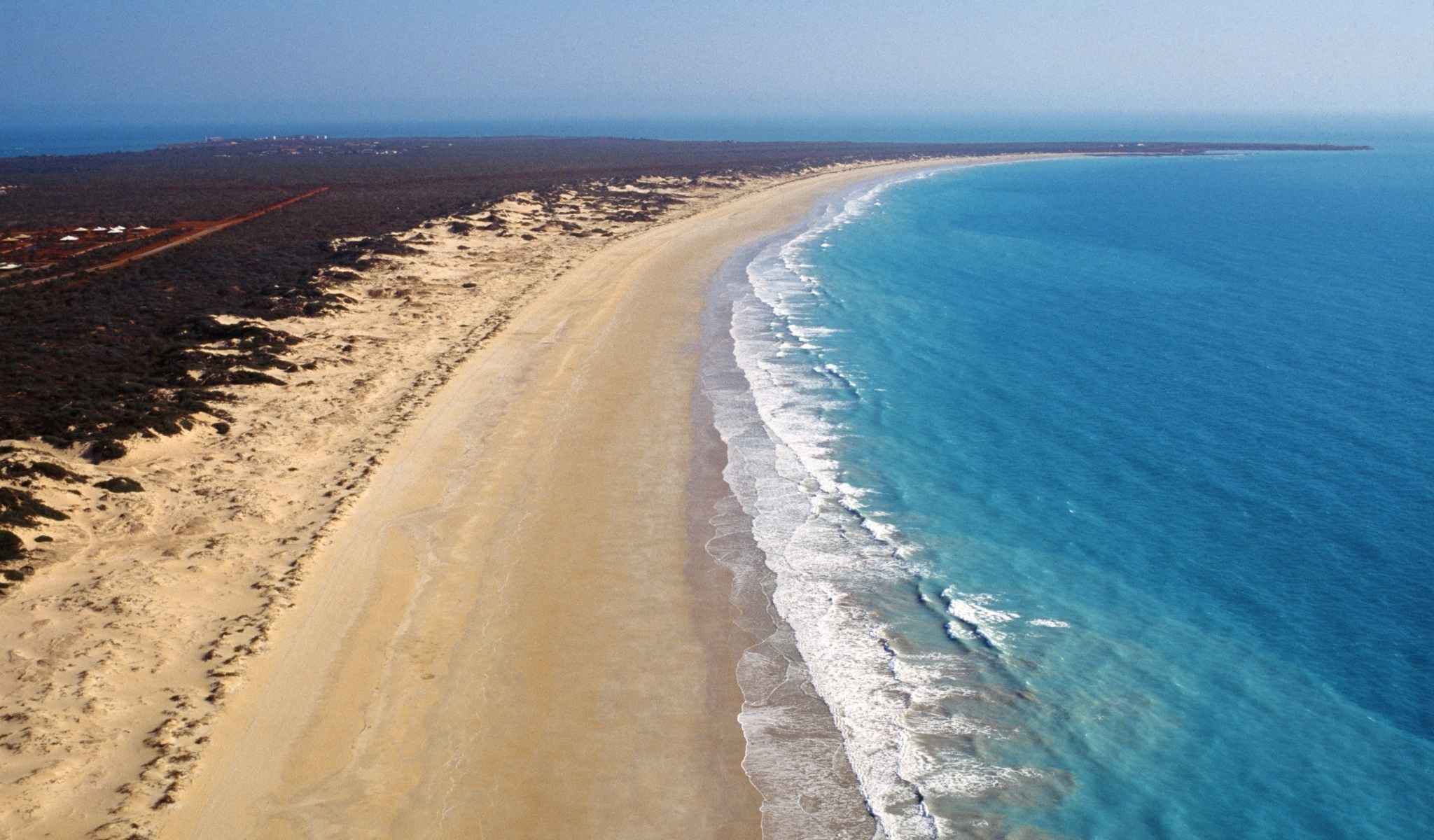 Cannabis Seeds Classified As Full Grown Plant in Western Australia