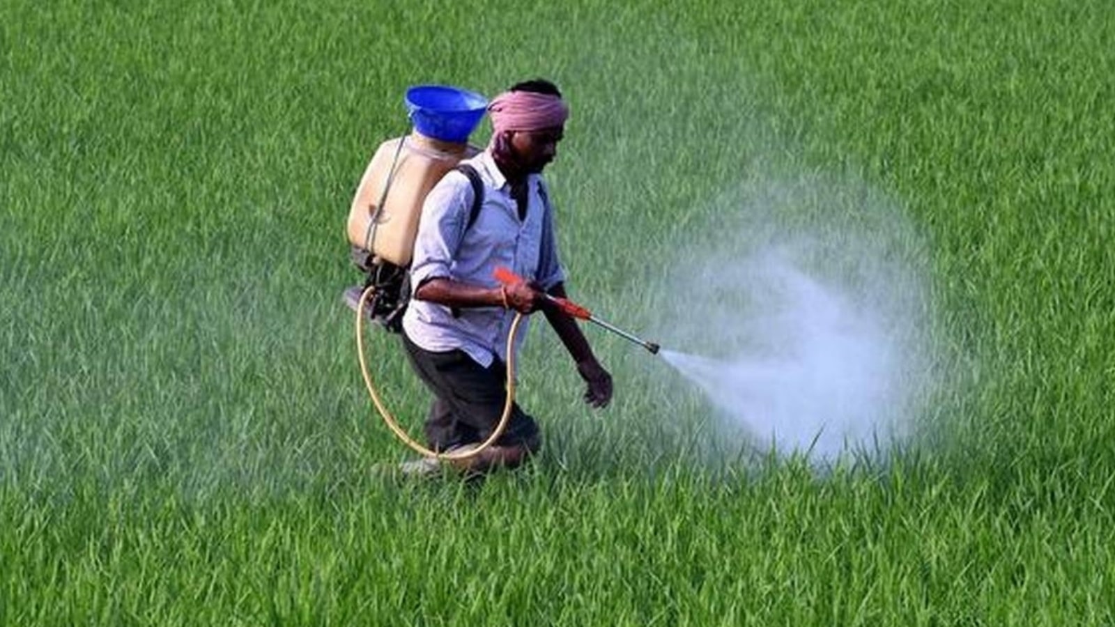 Are Plant Growth Regulators Pesticides?