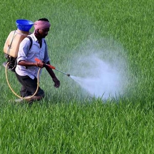 Are Plant Growth Regulators Pesticides?