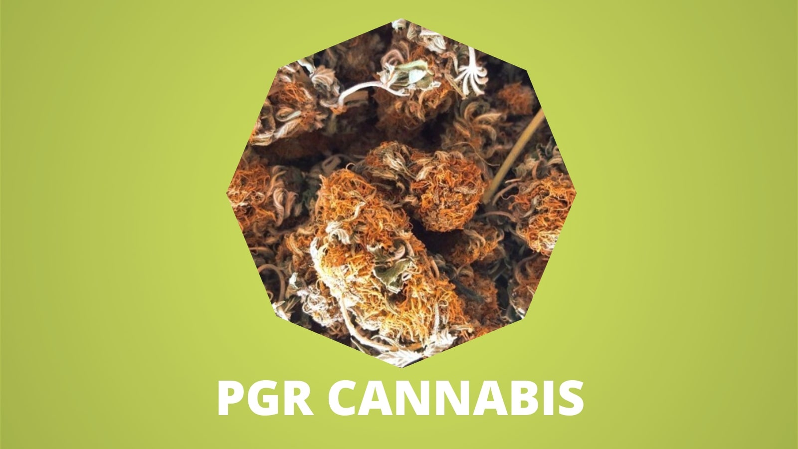 How To Spot PGR Laced Marijuana