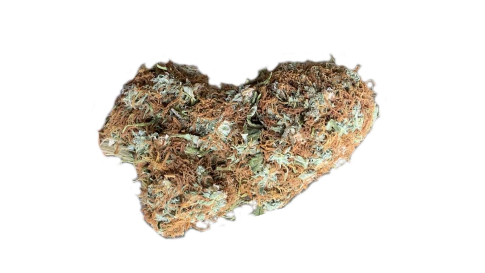How To Tell Pgr Weed The Visual Difference With Pgr Marijuana