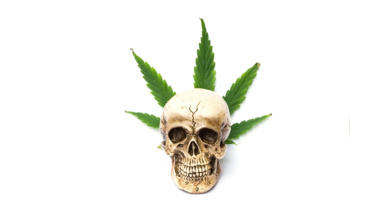 PGR Weed: Your Guide To Toxic Marijuana?