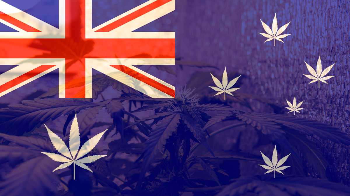 How Much Does Medical Cannabis Cost in Australia?