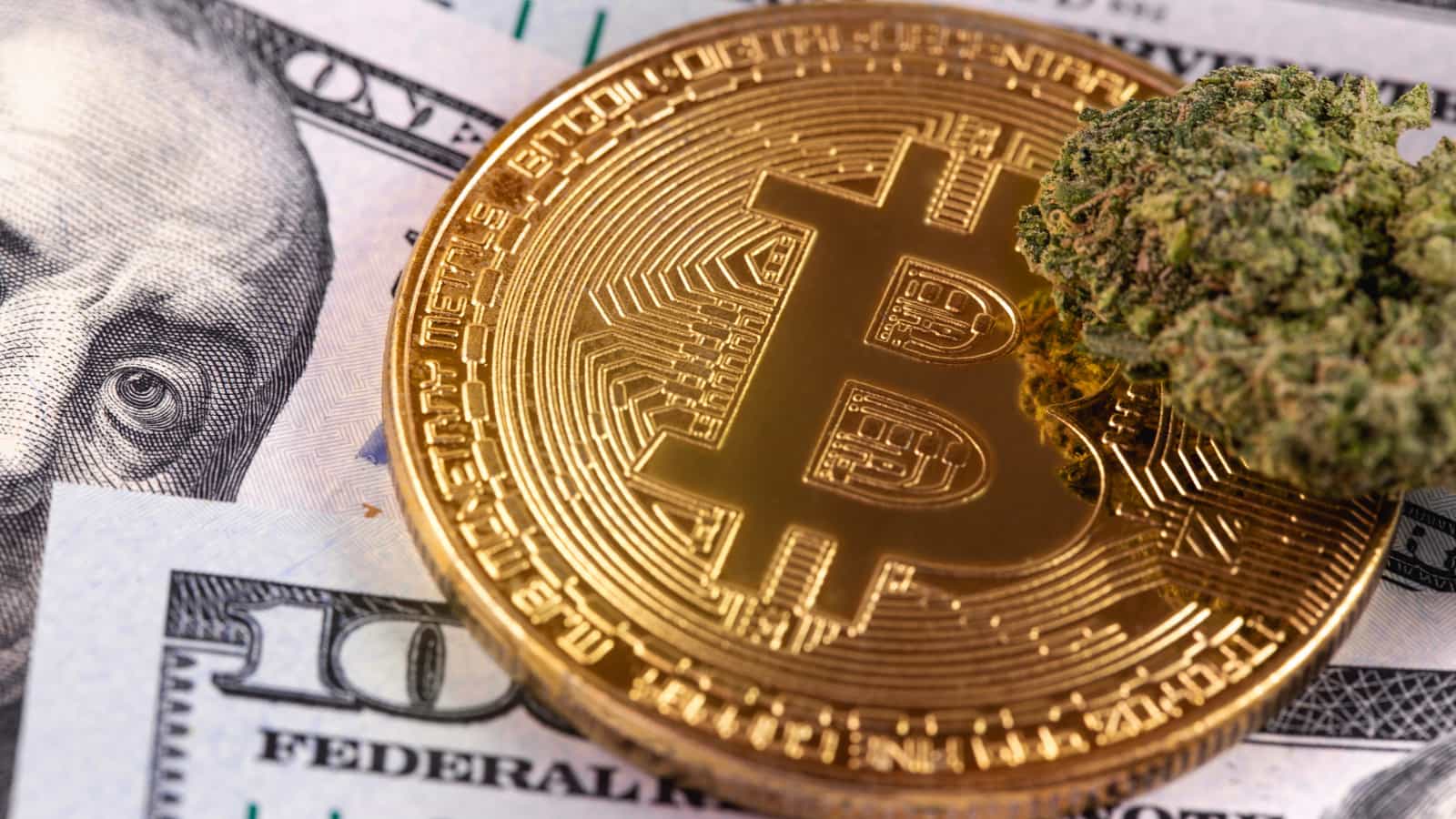 The Cost Of Weed Online: Australia's Exchange Of Crypto For Marijuana