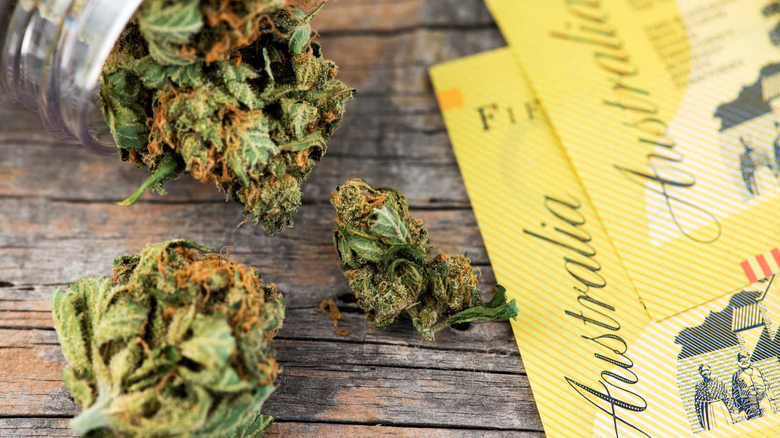 The Cost Of Weed In Australia: City & State Guide For Marijuana Prices